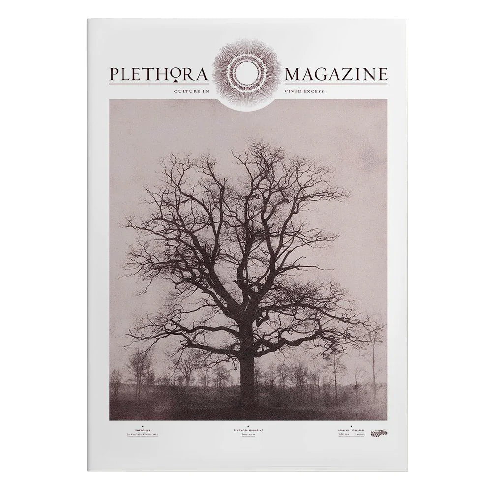 Plethora Magazine No. 12 