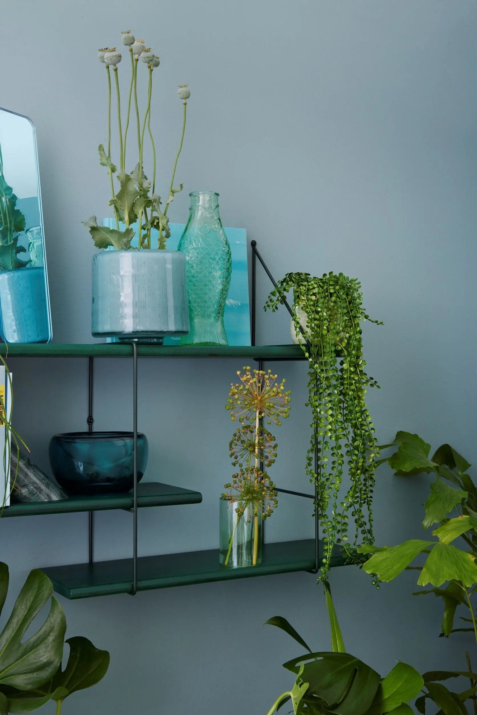 Shrink Forest Studio Hausen