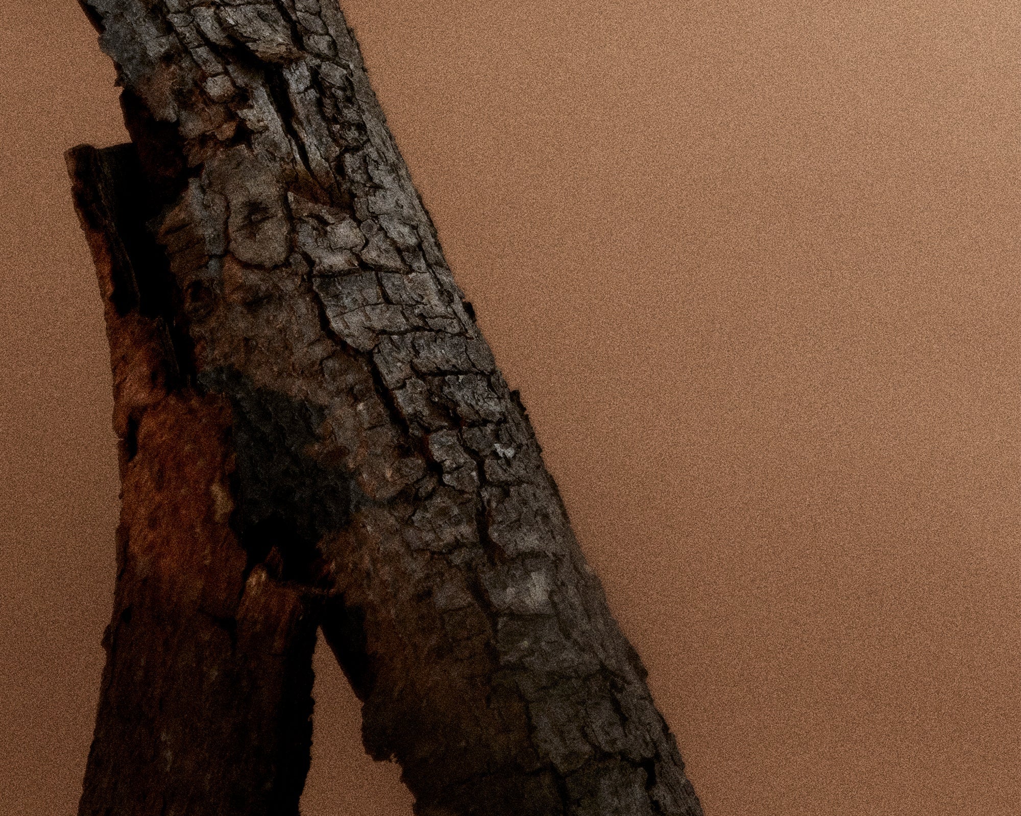 FRAMA - Eau de Parfum | St. Pauls | 50 mL