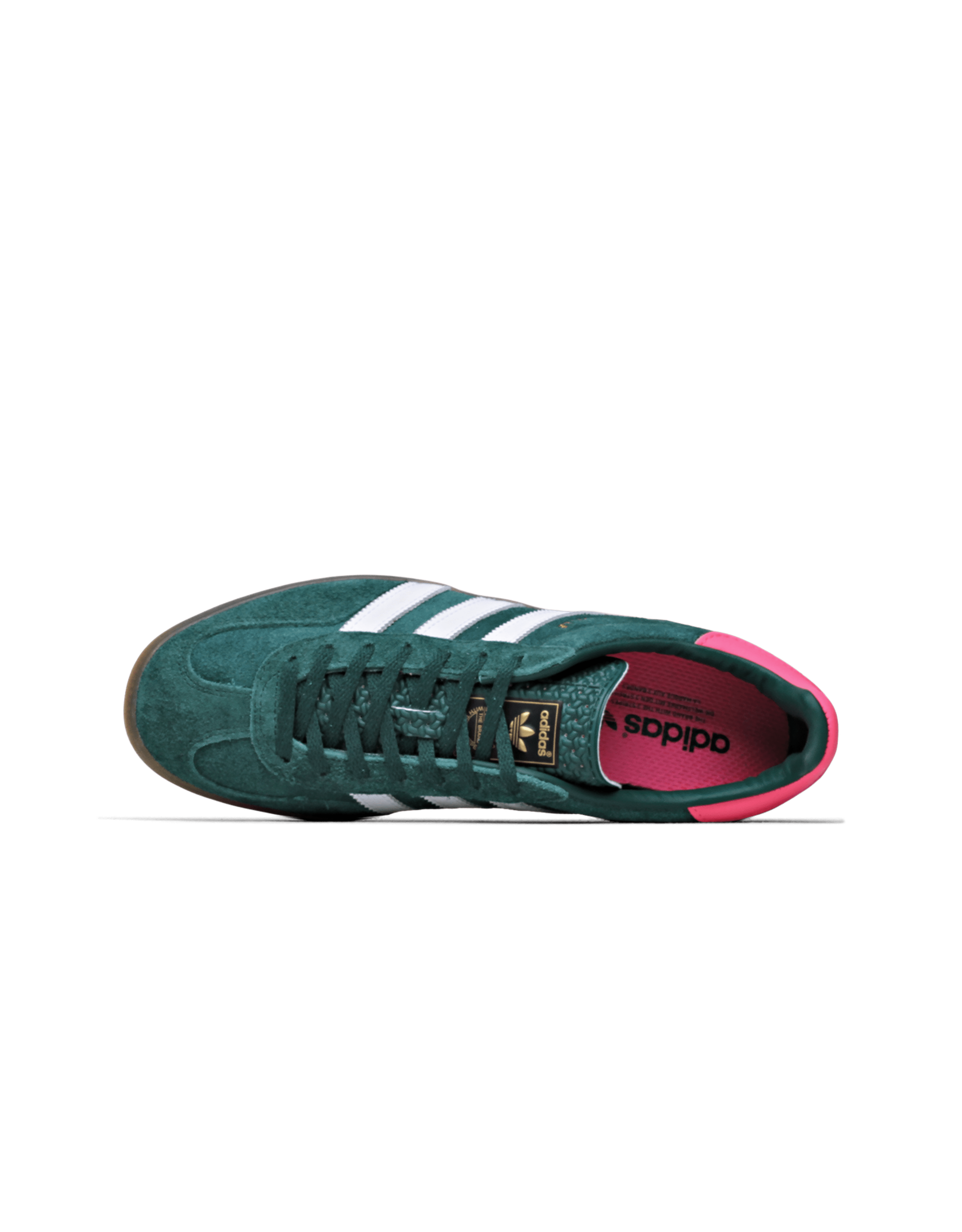 Gazelle Indoor