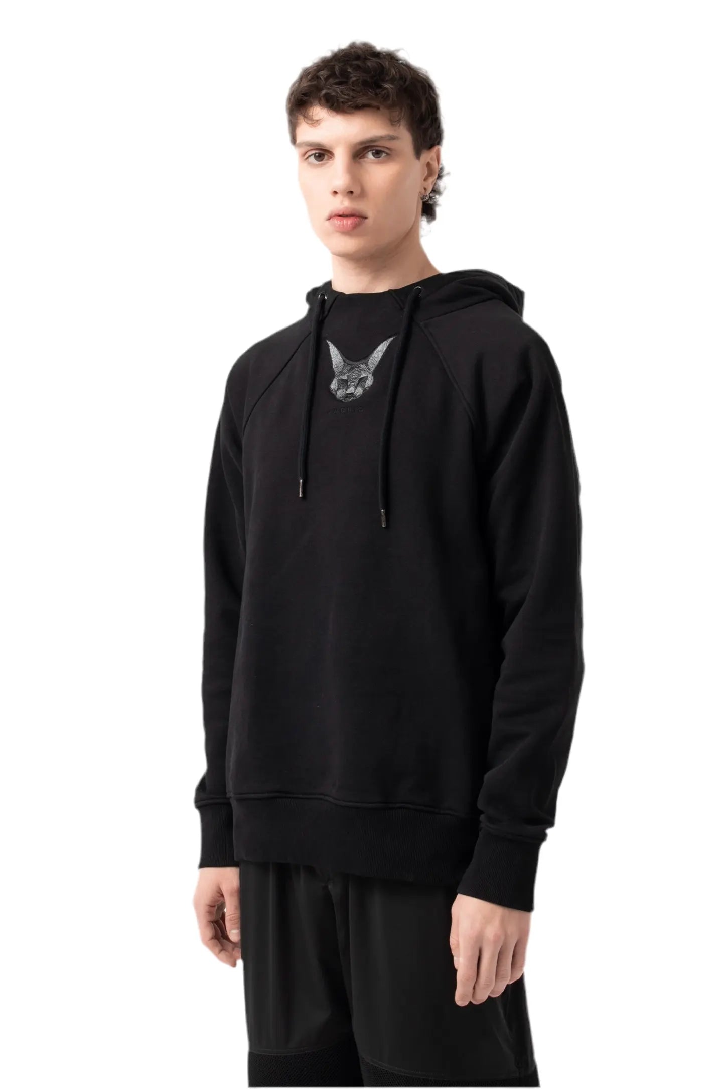 SPHYNX Hooded Sweatshirt JNORIG