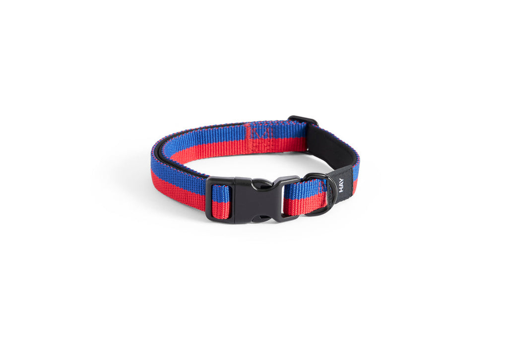 HAY Dogs Collar Flat HAY