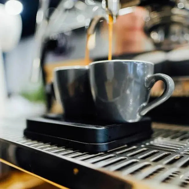 Acaia Lunar Base Acaia