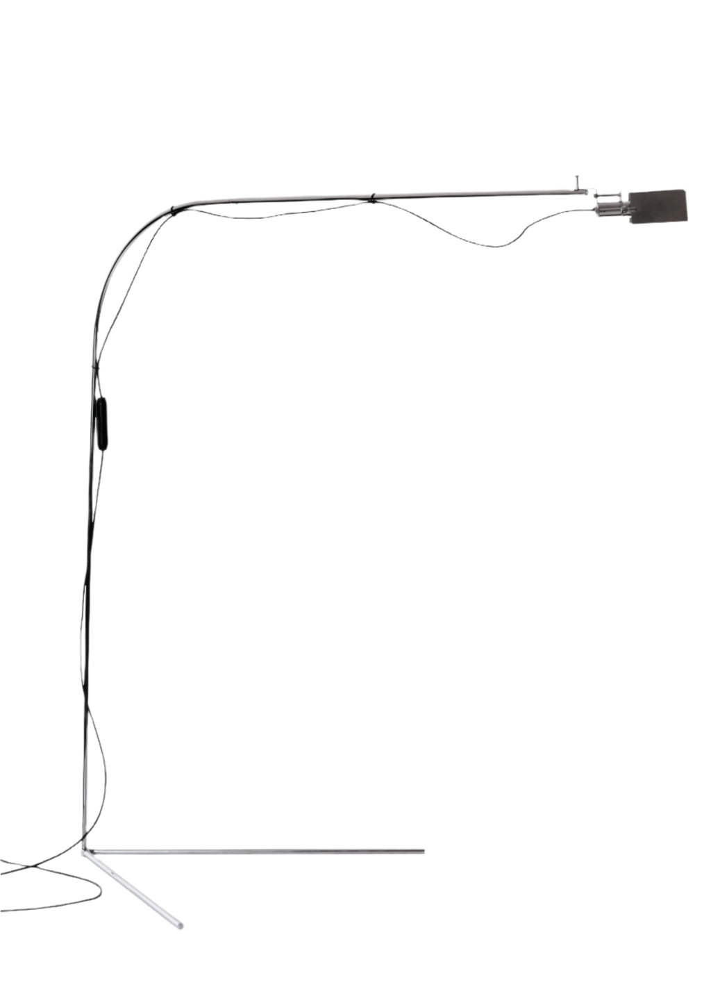 Flamingo BD Barcelona