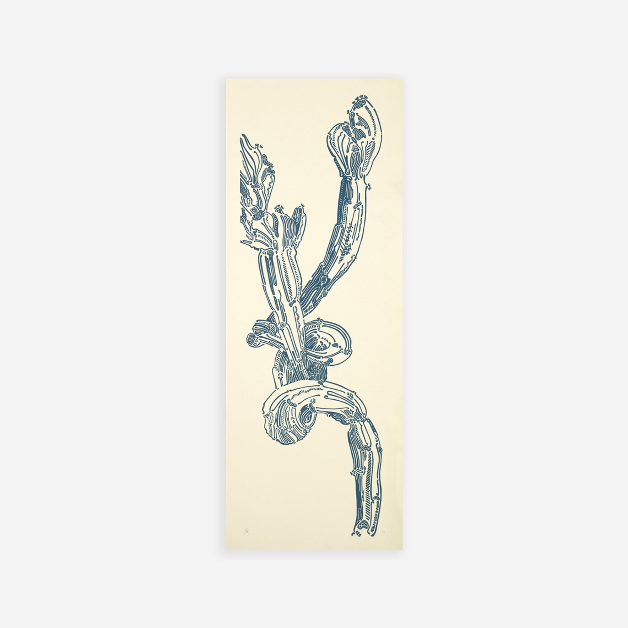 Crestata Loop – Edition Bethan Laura Wood