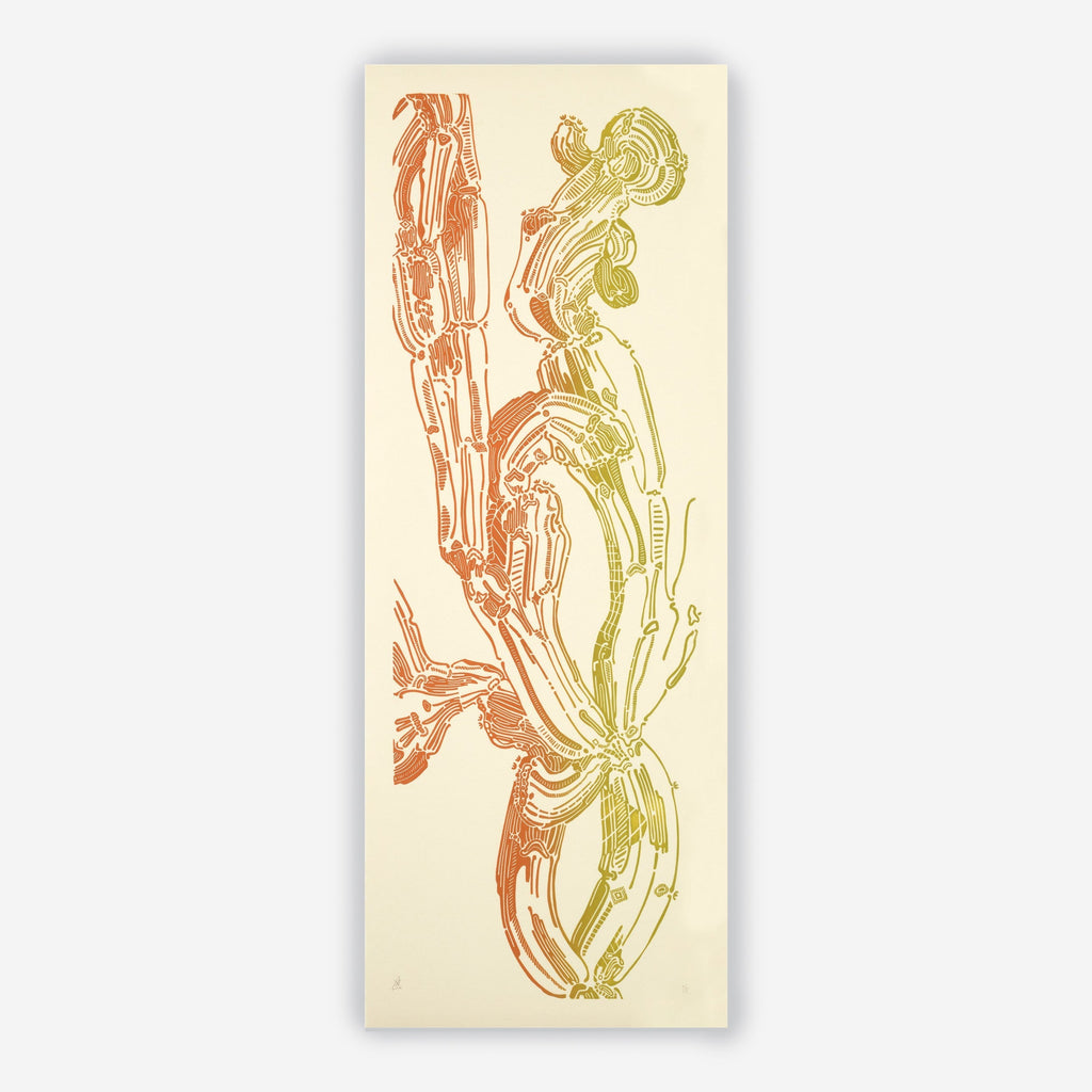 Crestata, Triptych – Edition Bethan Laura Wood