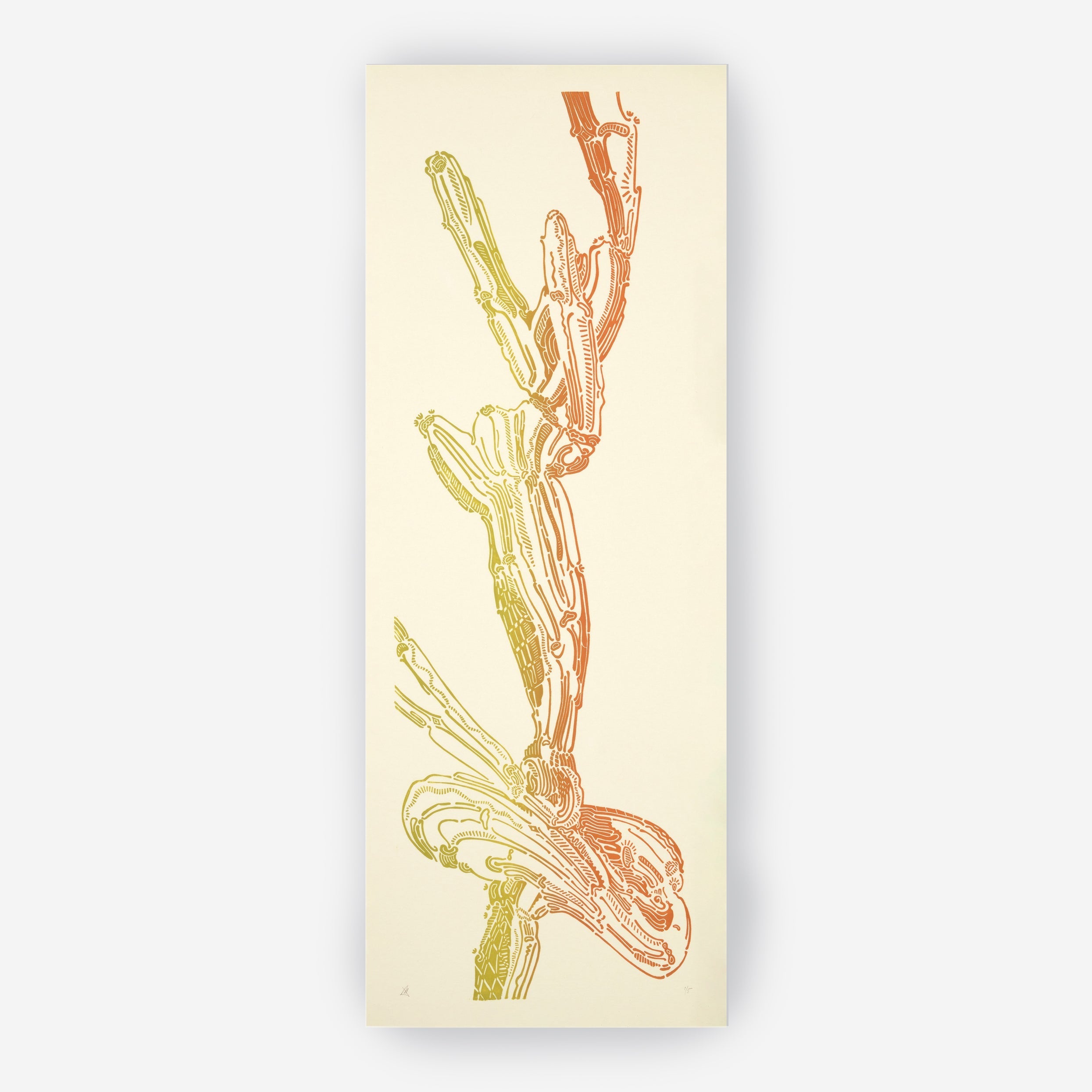 Crestata, Triptych – Edition