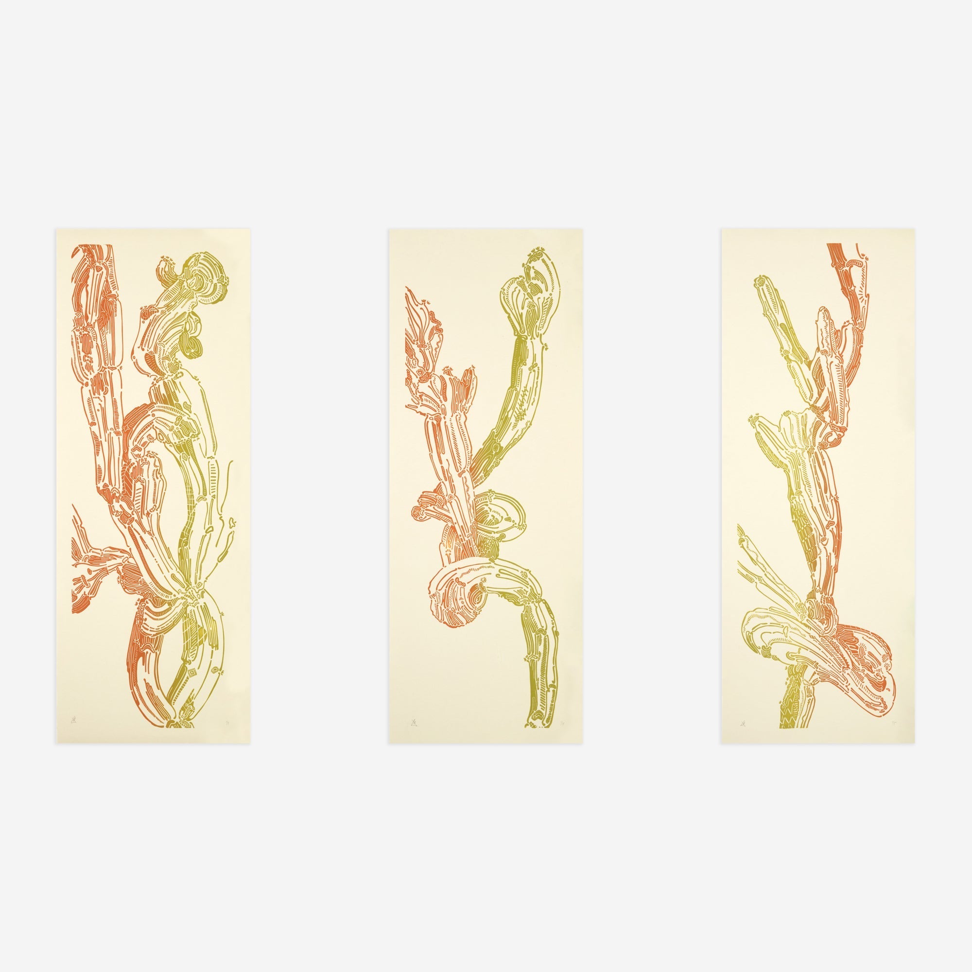 Crestata, Triptych – Edition