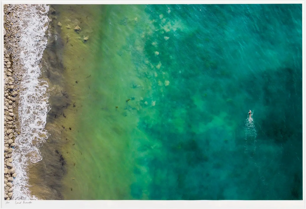 Gaviota Swimmer David Ondaatje