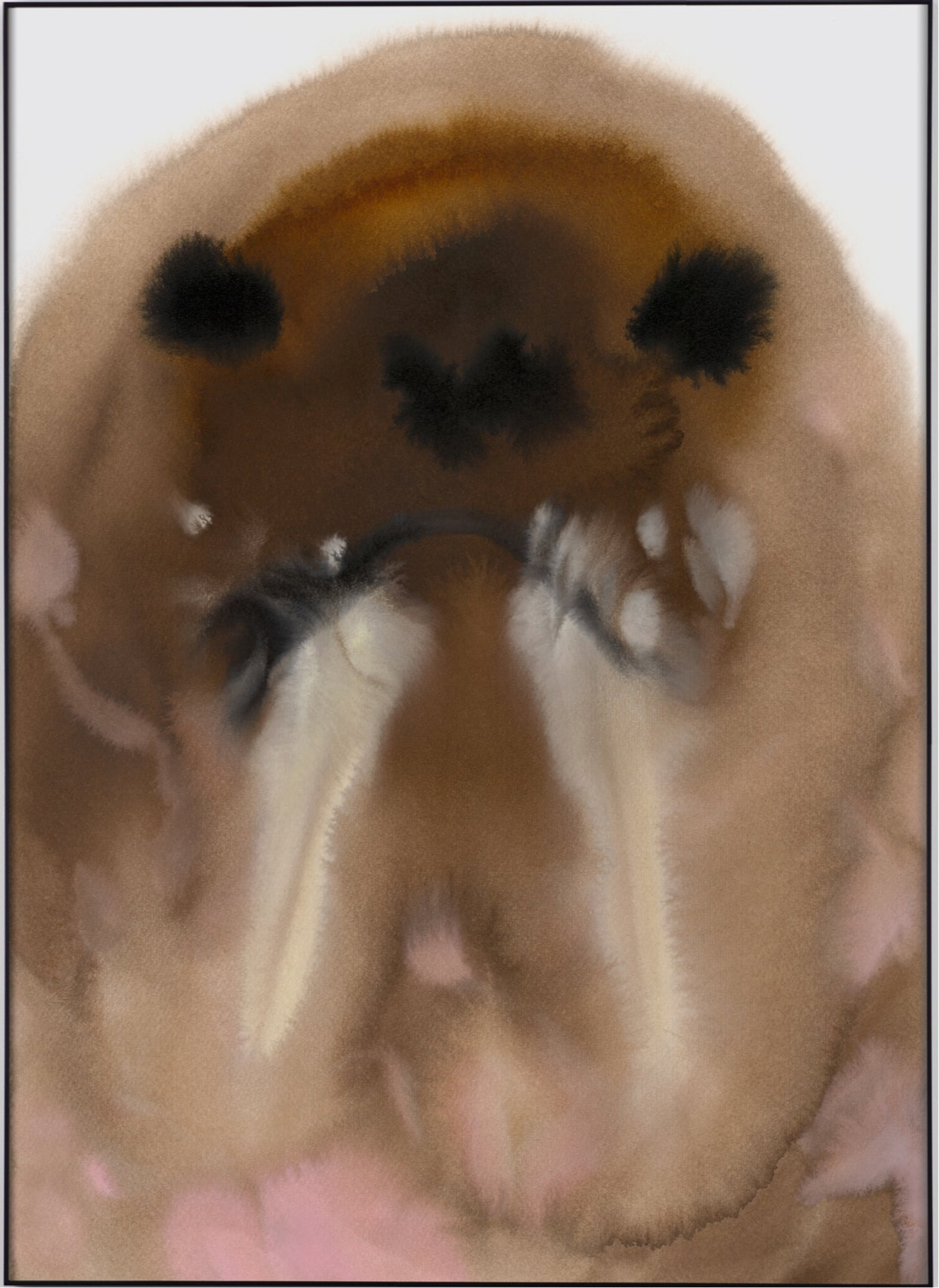 Walrus – Edition Rop van Mierlo