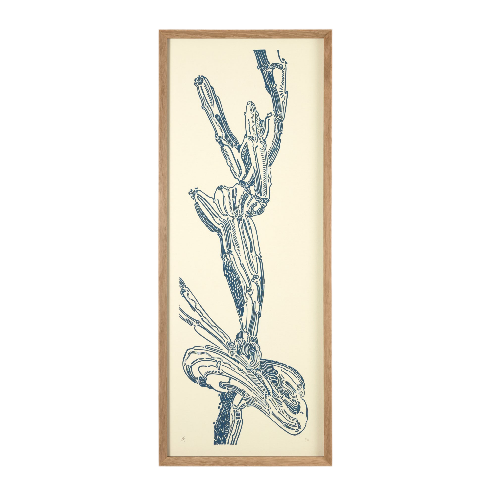 Crestata Knot – Edition Bethan Laura Wood