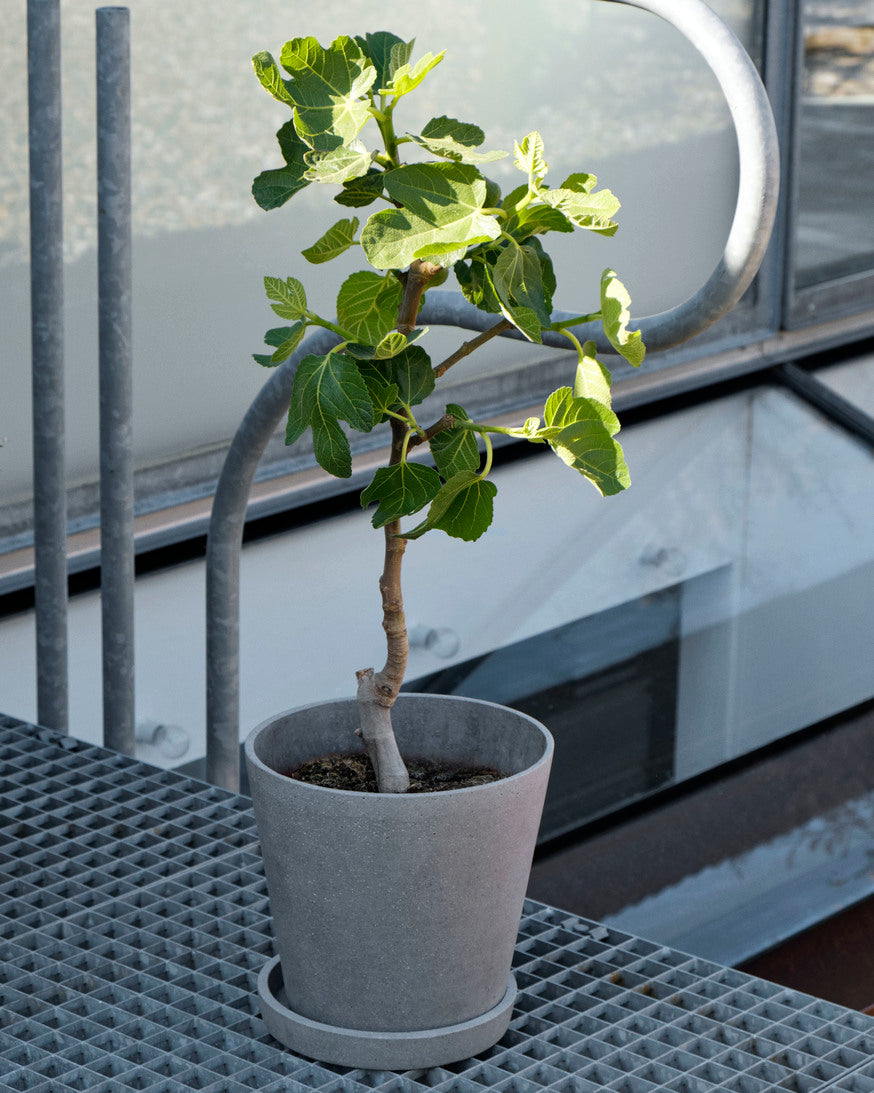 Flowerpot with Saucer HAY
