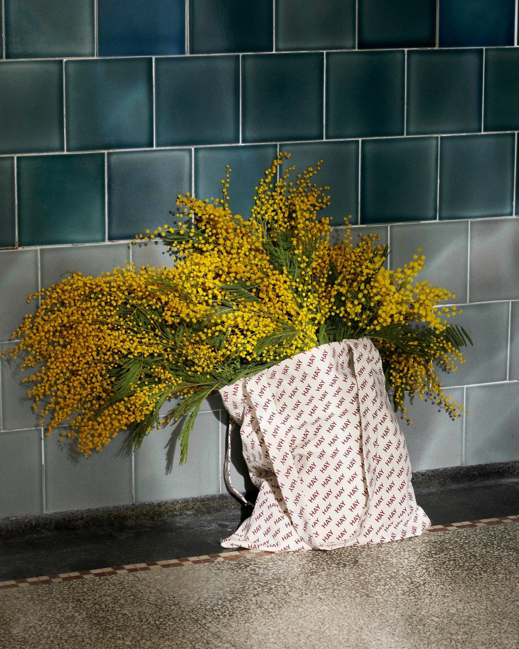 HAY Logo Tote Bag HAY