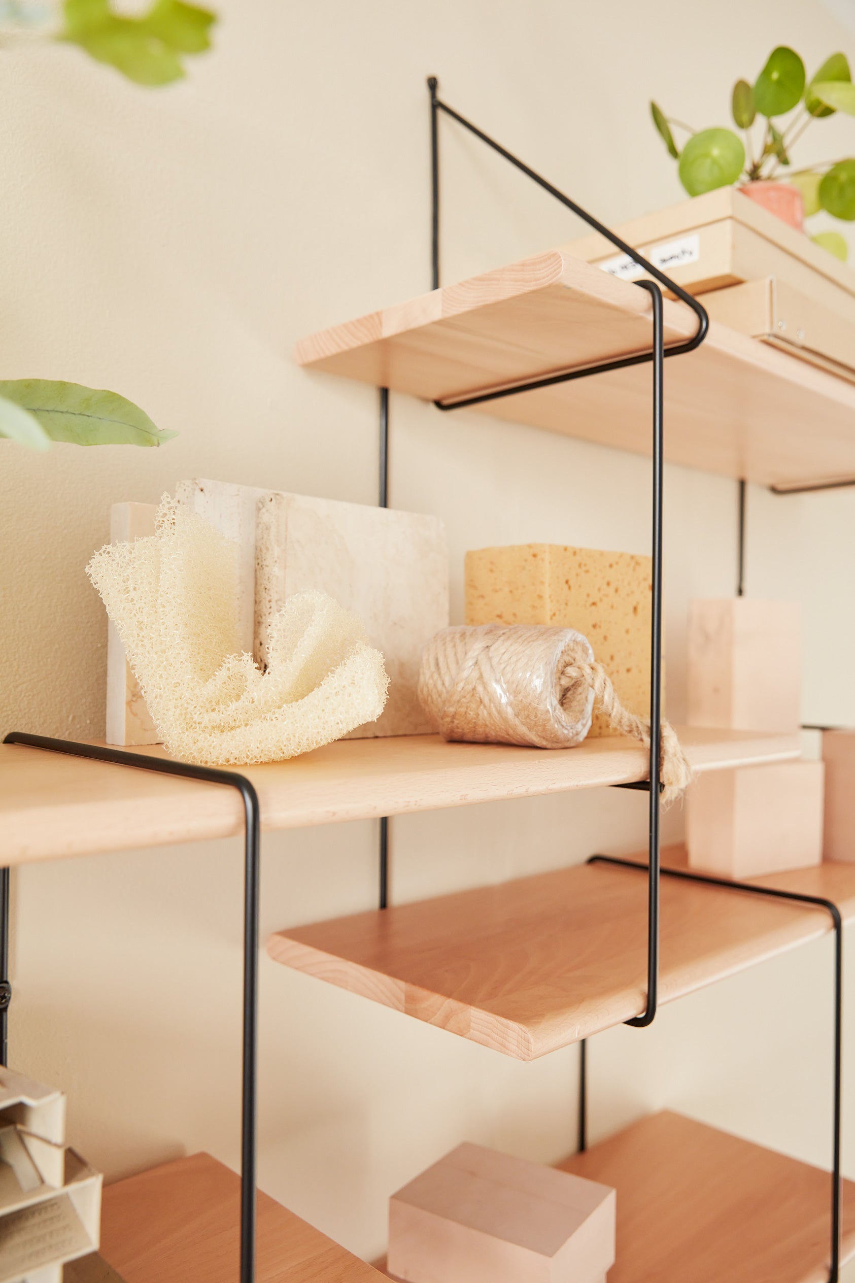 Link set 2 BEECH Studio Hausen