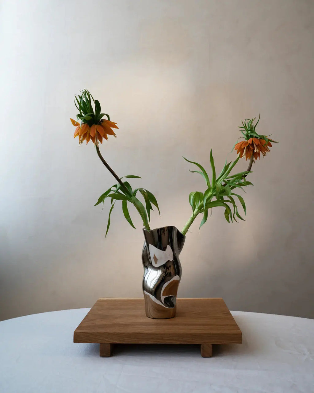 Ostrea 25 - Silver Hein Studio