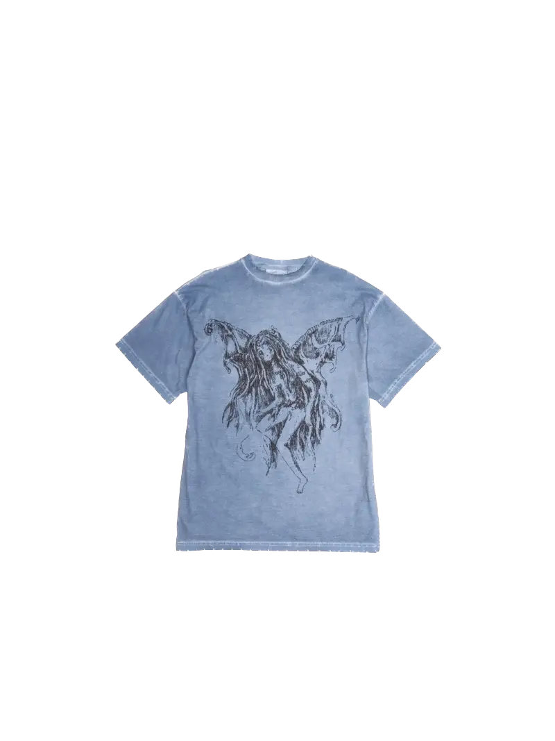 Belief In Fairies Fine Chaos