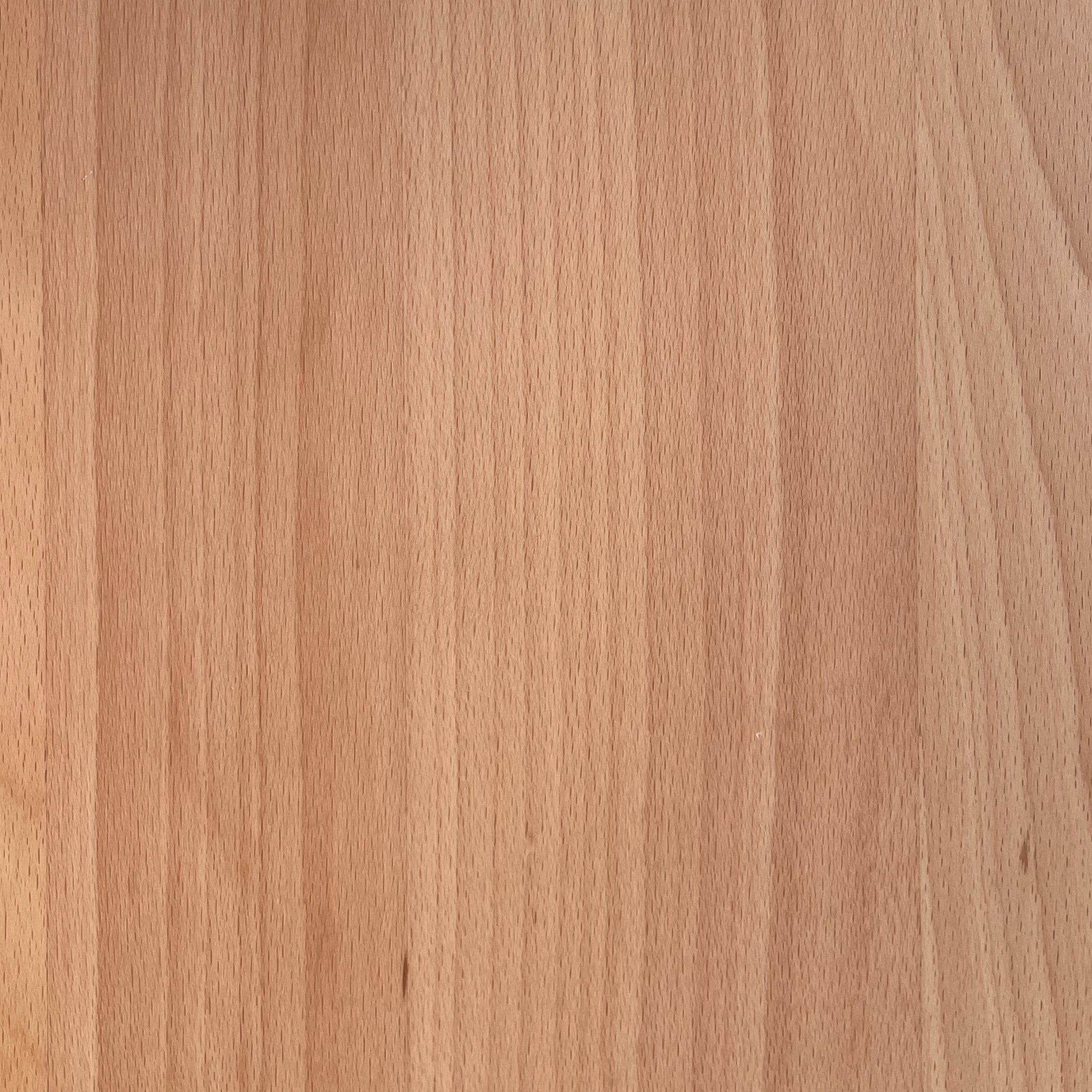 Link set 1 BEECH Studio Hausen