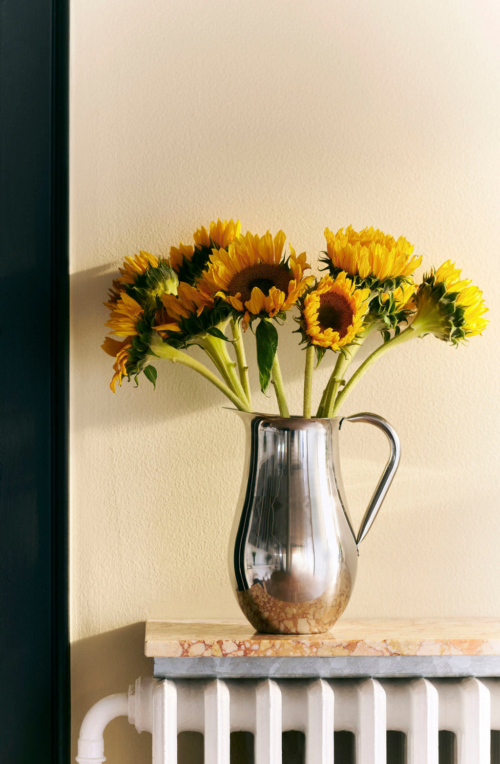 Indian Steel Pitcher HAY