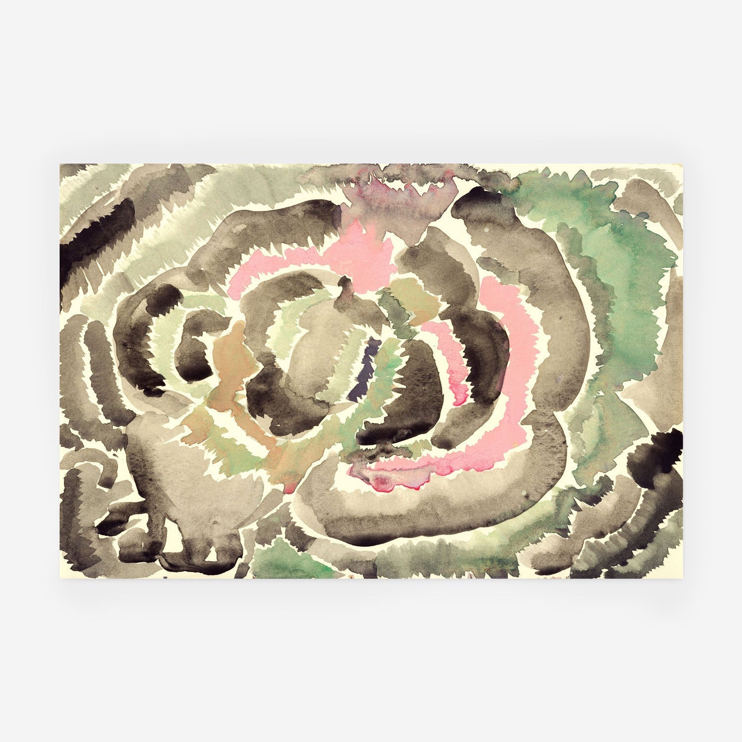 Lichen Borealis 1 – Edition