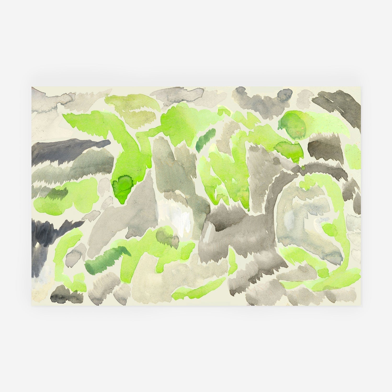 Lichen Borealis 3 – Edition Leanne Shapton