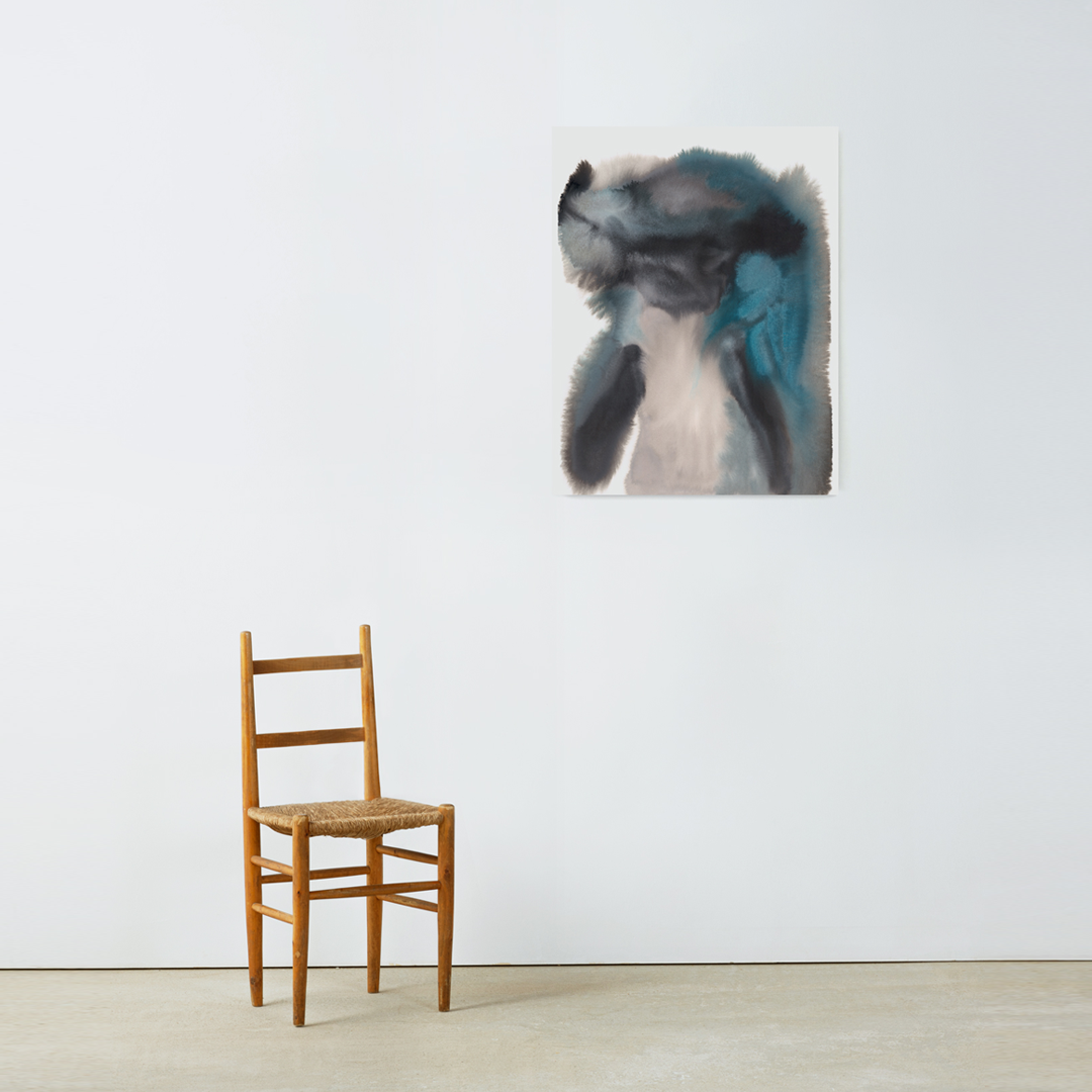 Dolphin – Edition