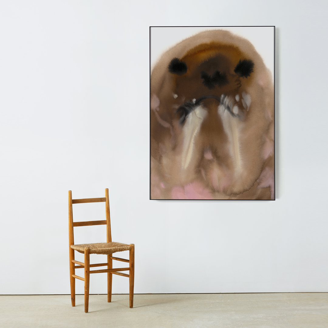Walrus – Edition