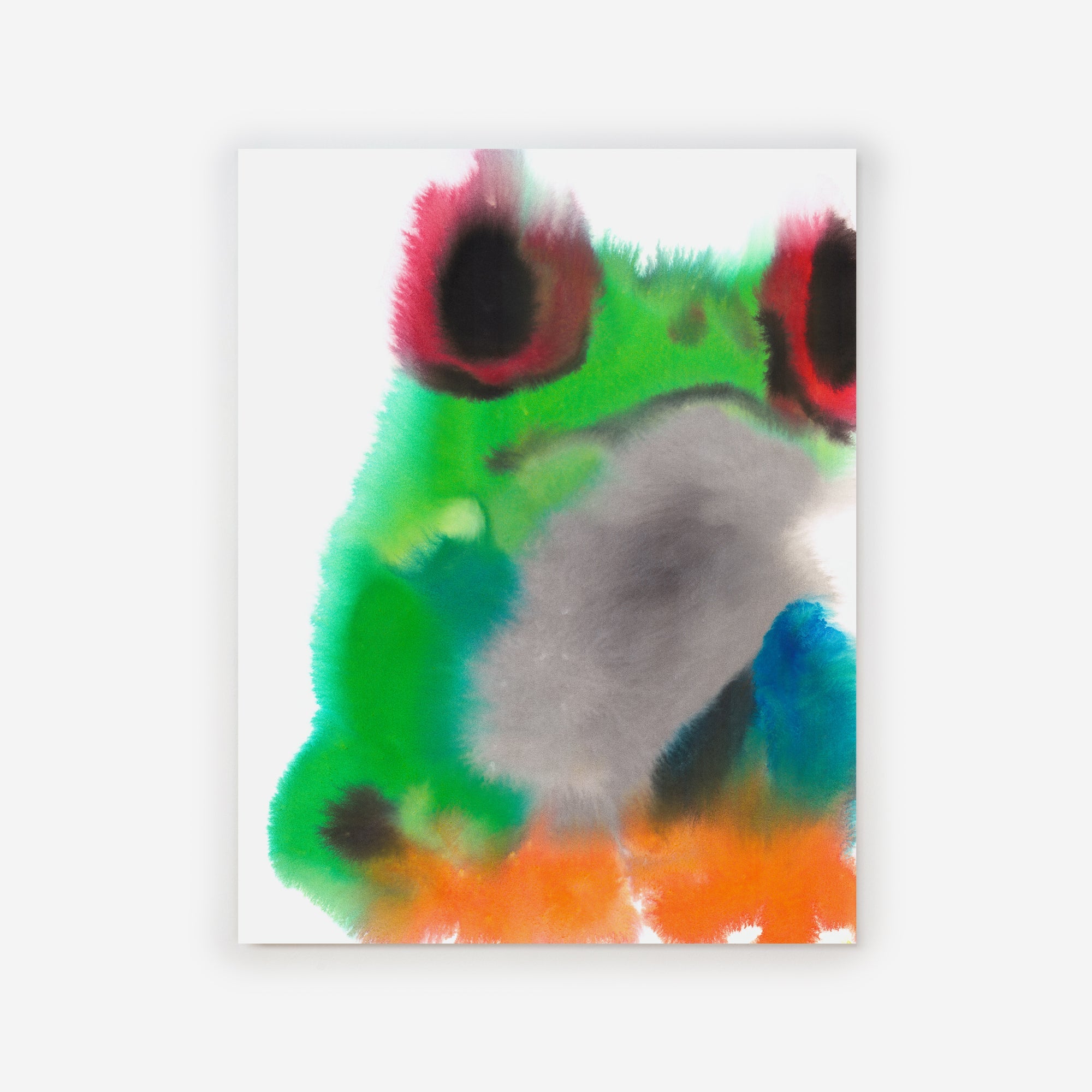 Frog – Edition