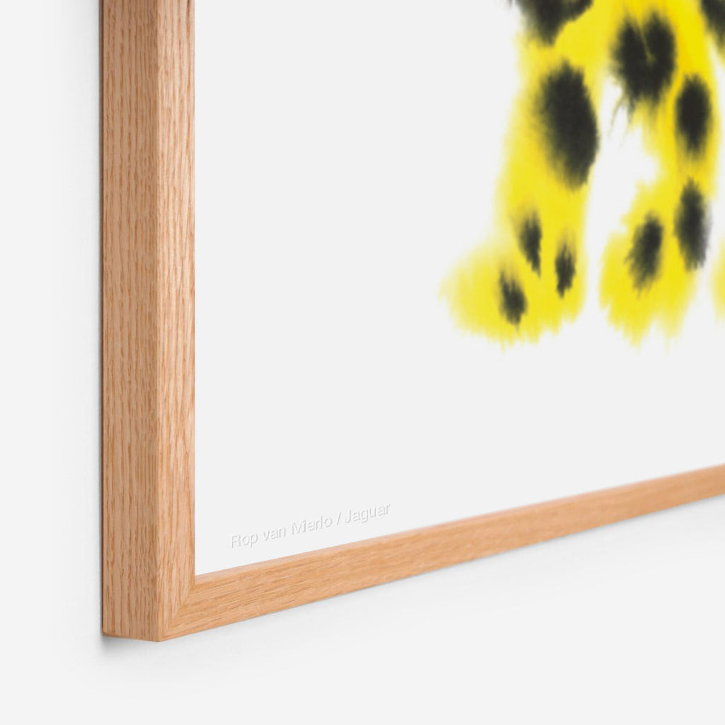 Jaguar Rop van Mierlo