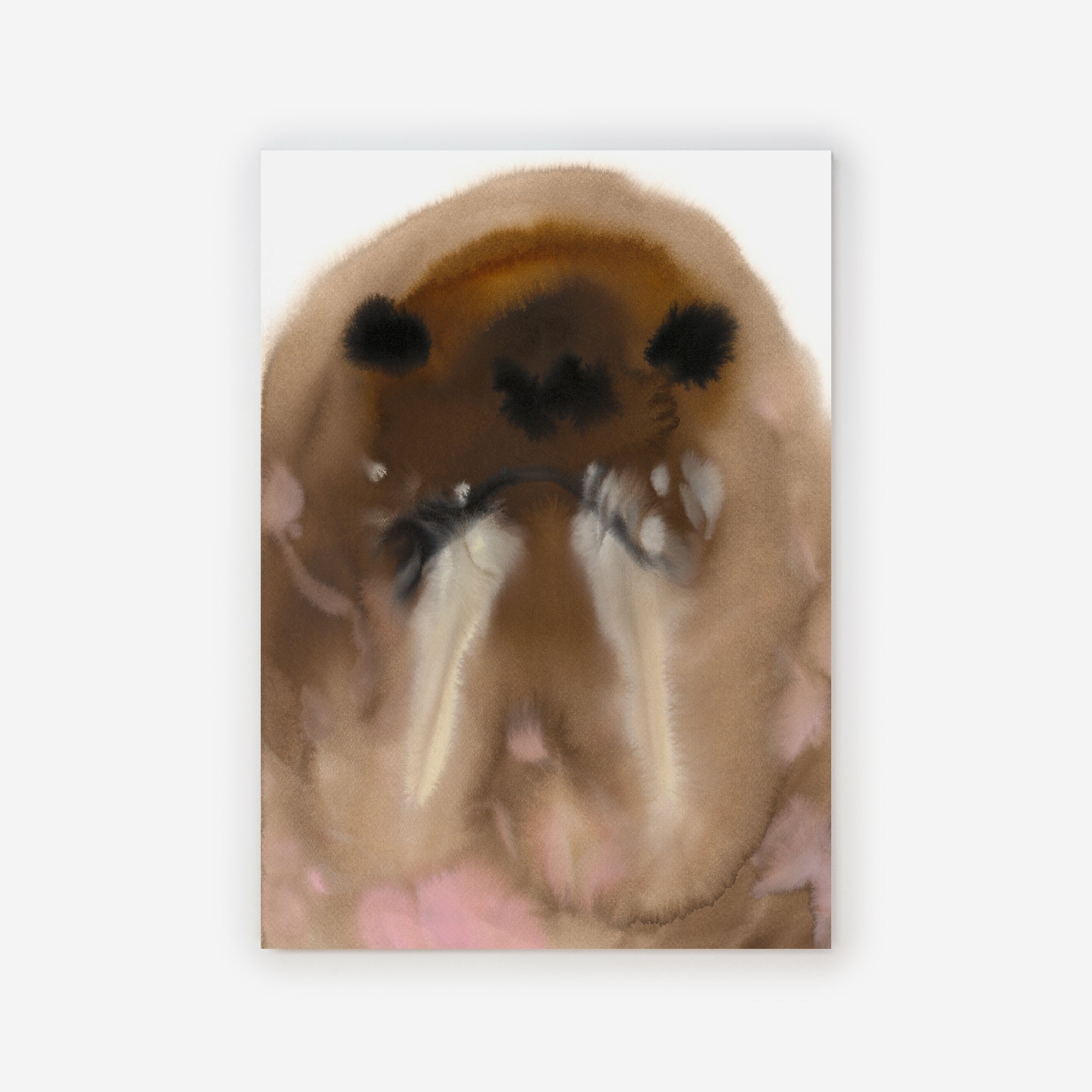 Walrus – Edition