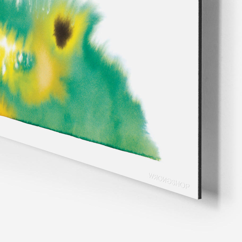 Crocodile Rop van Mierlo