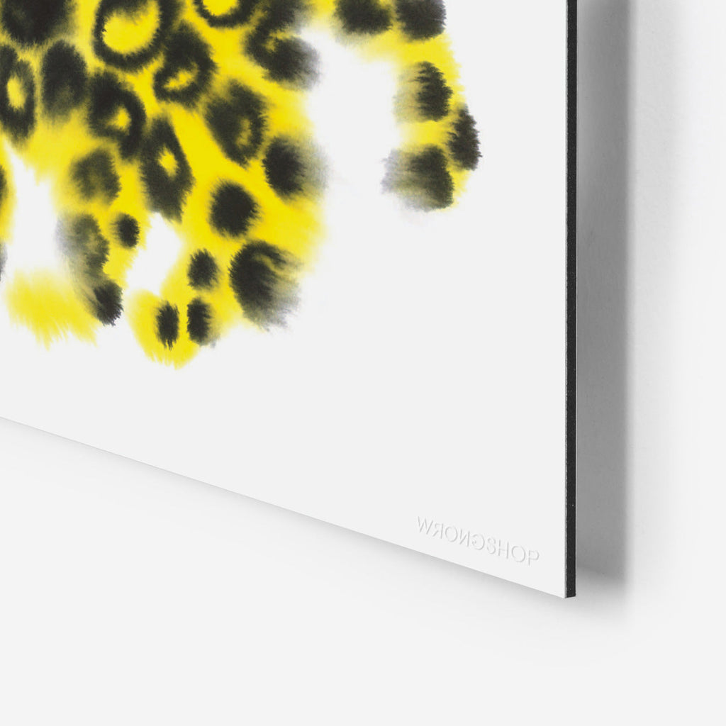 Jaguar Rop van Mierlo