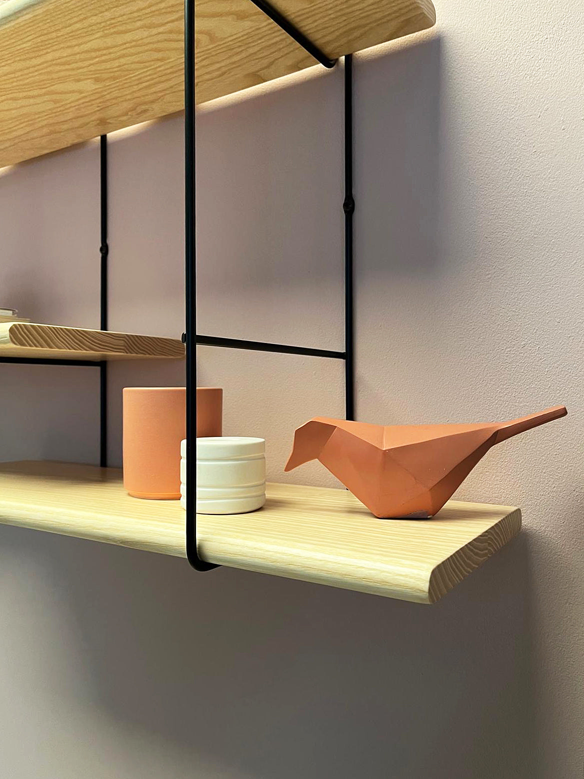 Shrink Ash Studio Hausen