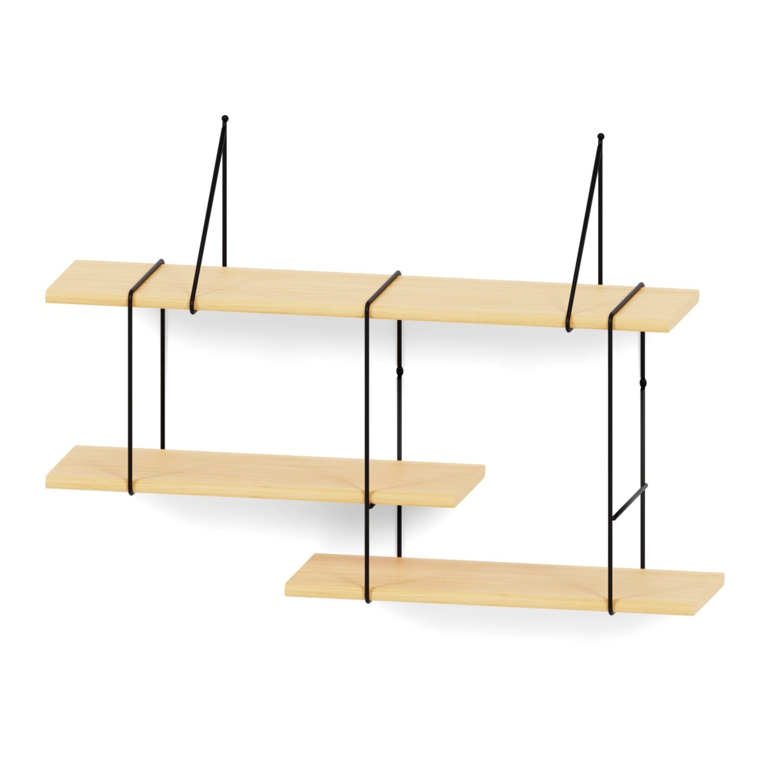 Shrink Ash Studio Hausen