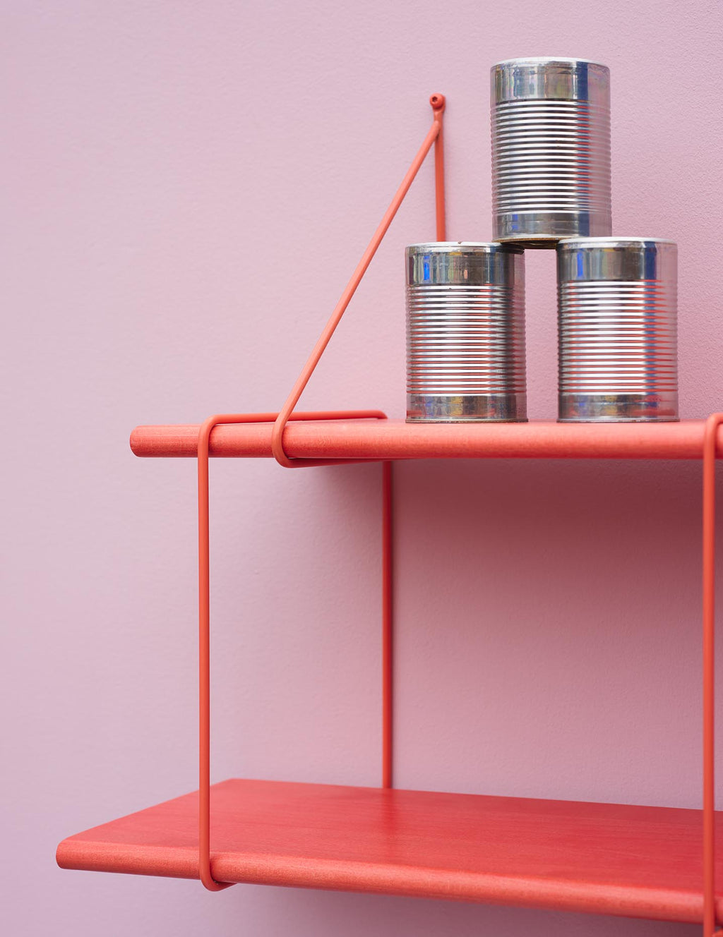 Shrink Salmon limited edition Studio Hausen