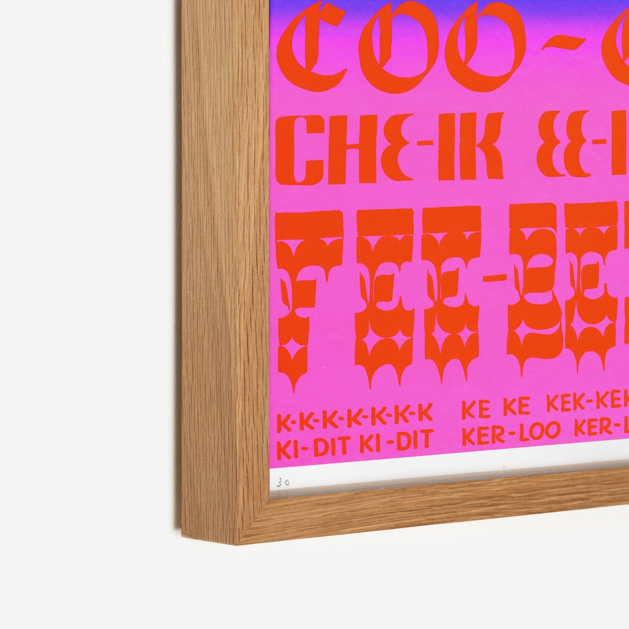 Didi – Edition Job Wouters