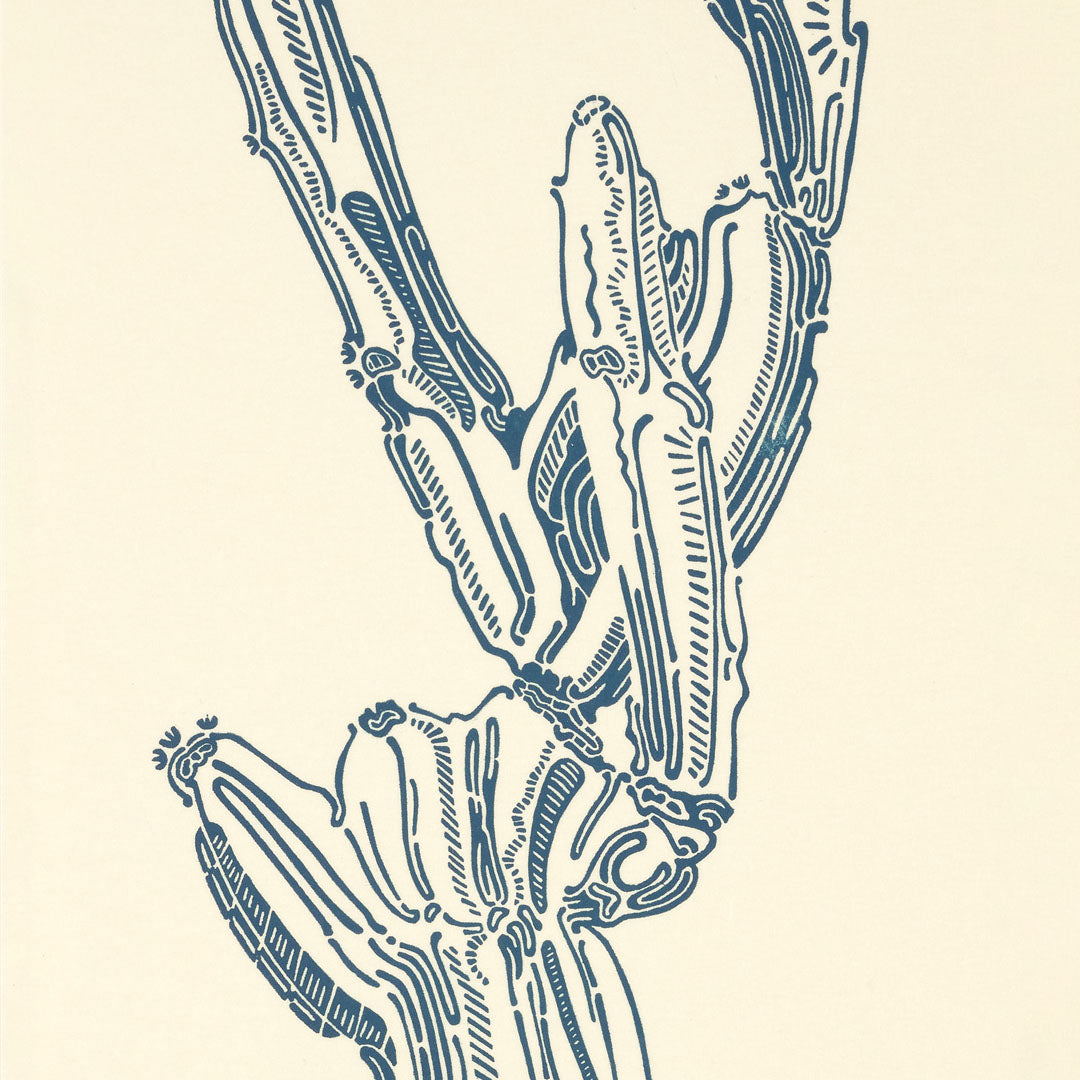 Crestata Knot – Edition Bethan Laura Wood