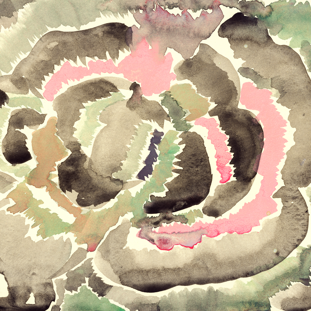 Lichen Borealis 1 – Edition