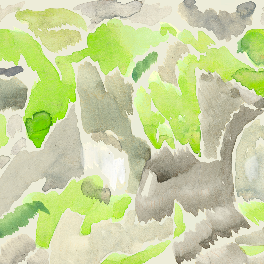 Lichen Borealis 3 – Edition