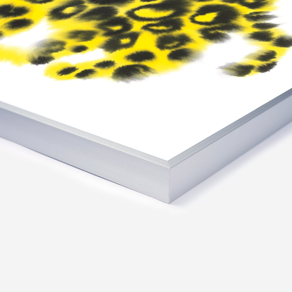 Jaguar Rop van Mierlo