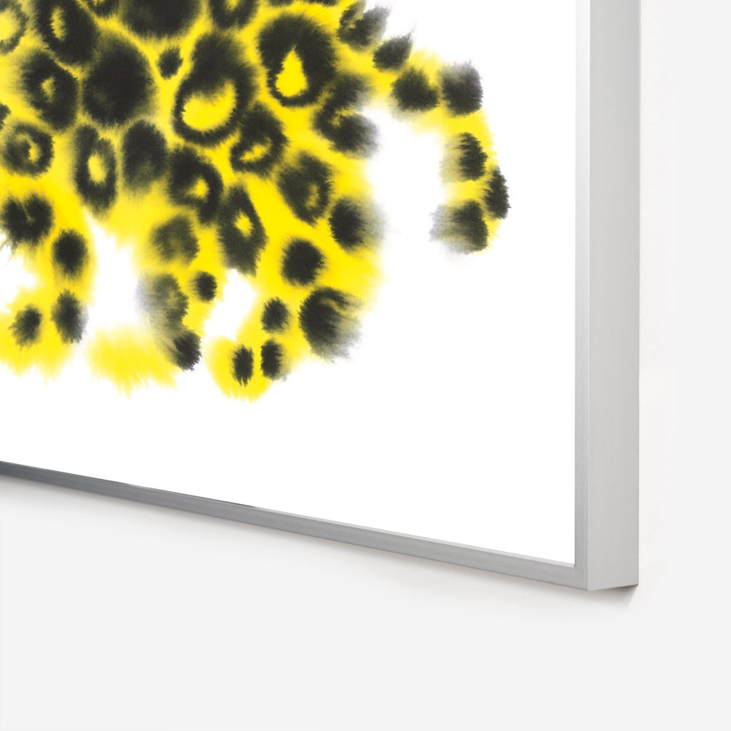 Jaguar Rop van Mierlo