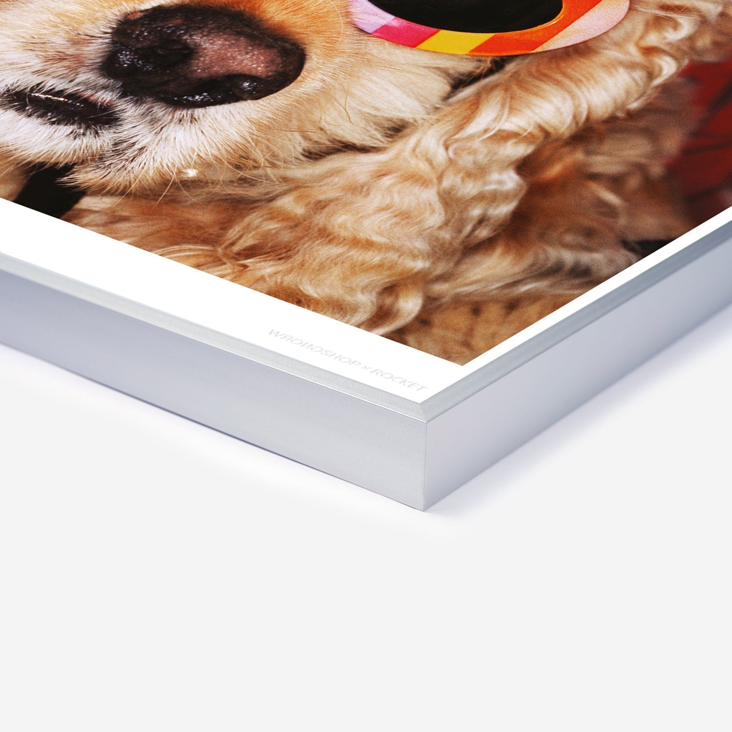 Venice Beach Martin Parr