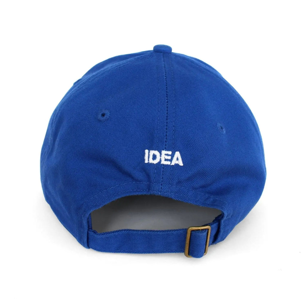IDEA ACTUAL INTELLIGENCE HAT 