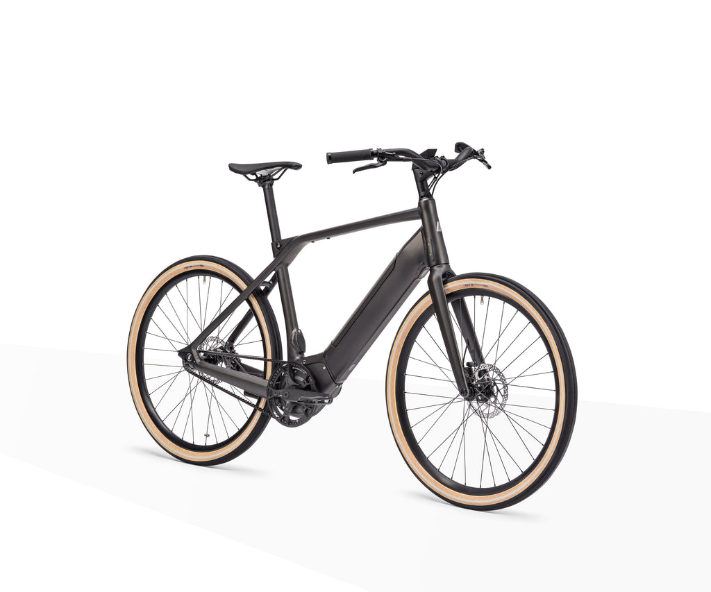 Heinrich 1.0 Schindelhauer