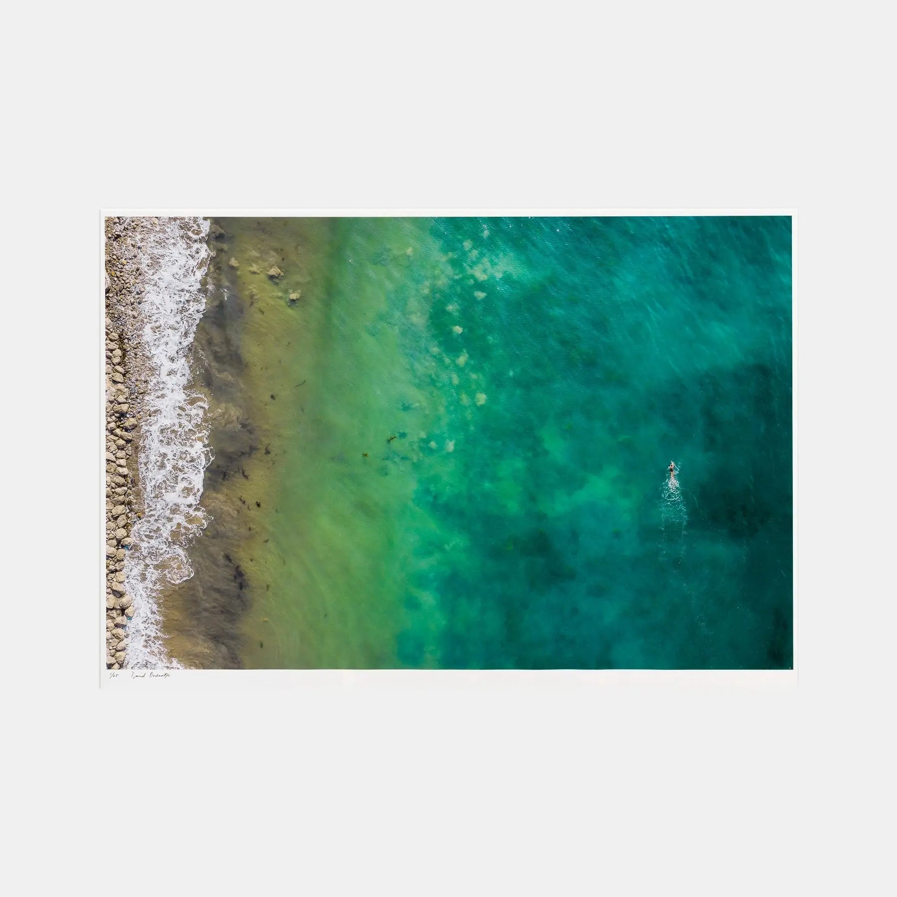 David Ondaatje Gaviota Swimmer 