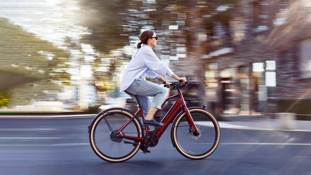 Hannah enviolo 1.0 Schindelhauer