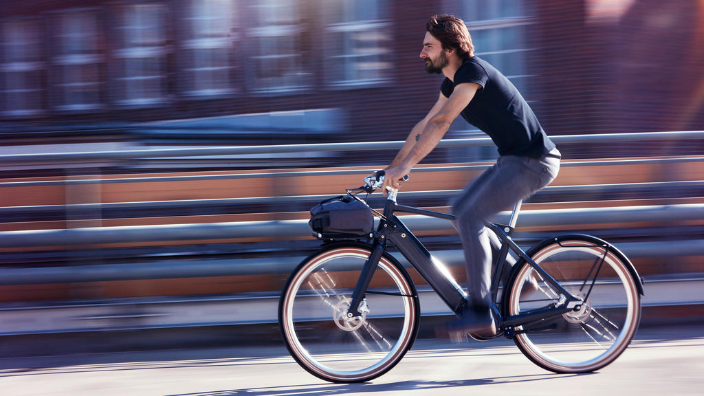 Heinrich VIII Schindelhauer