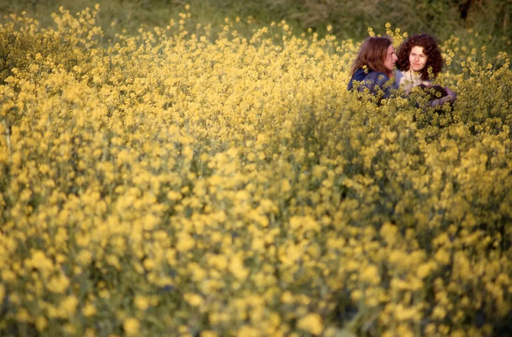 IDEA In the Vale of Avalon: Glastonbury Festival 1971 