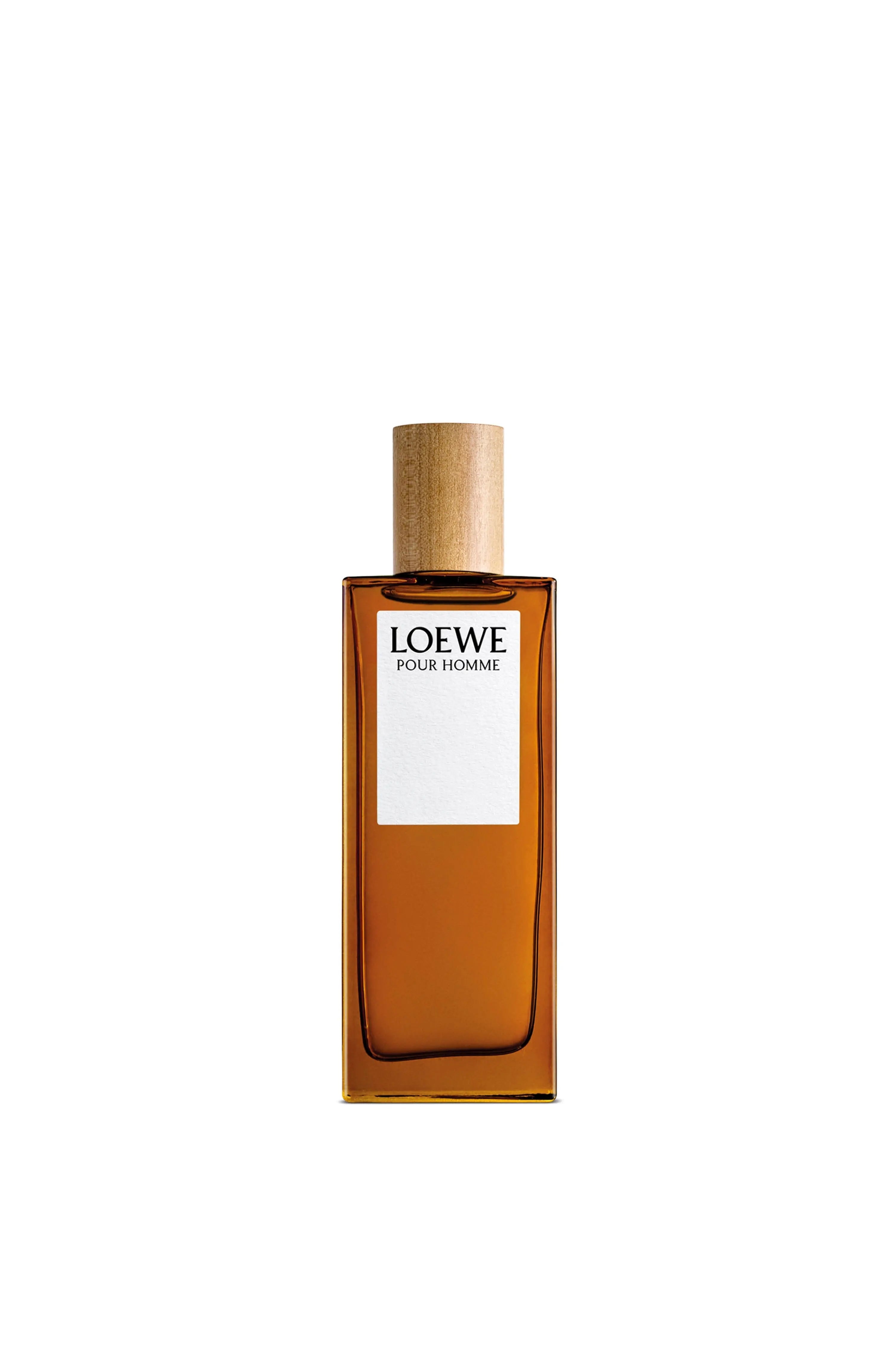 LOEWE LOEWE Pour Homme EDT 100ml 