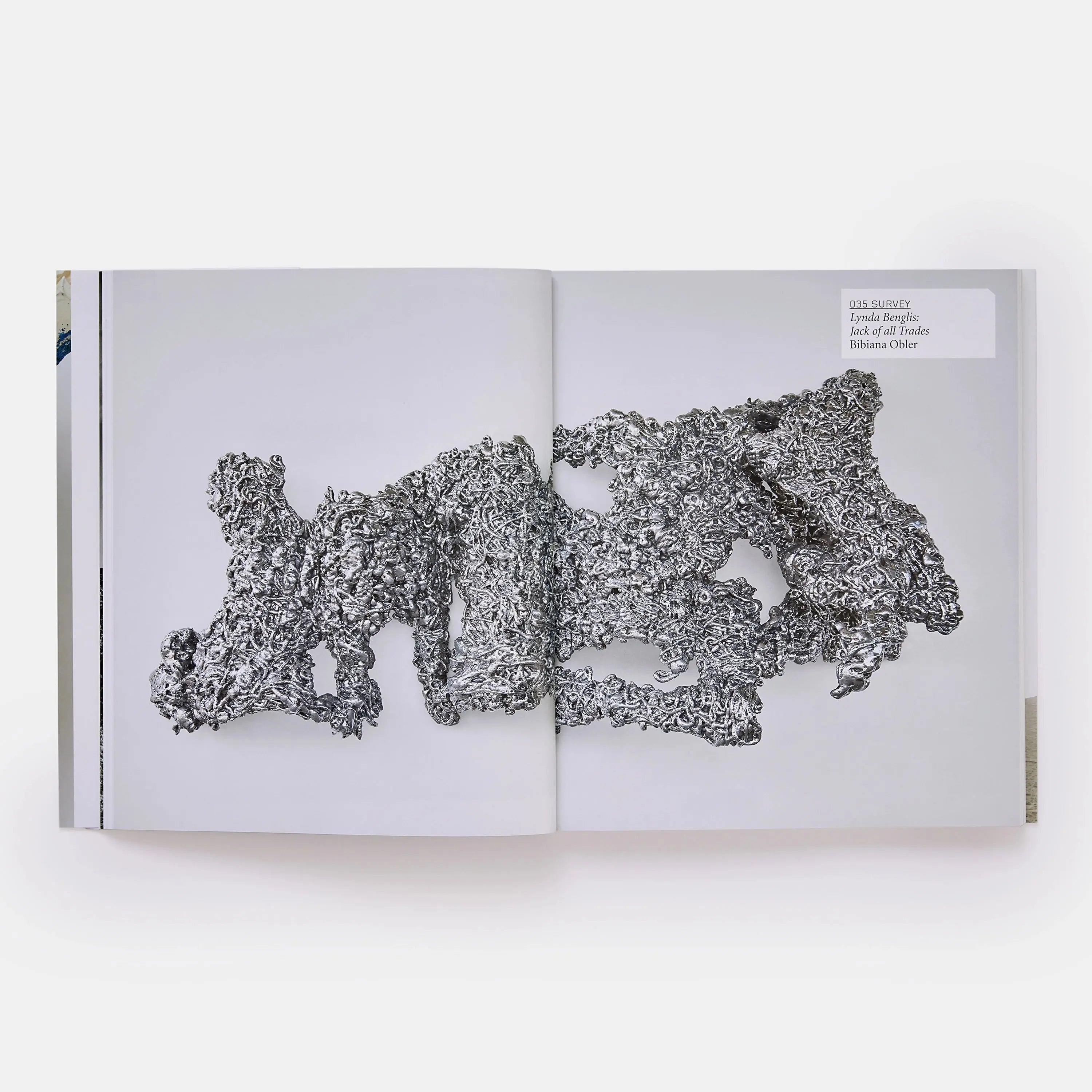 Phaidon Lynda Benglis 