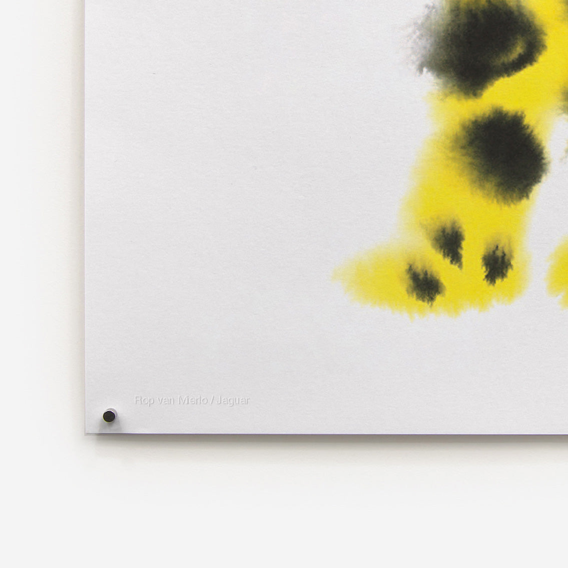 Jaguar Rop van Mierlo